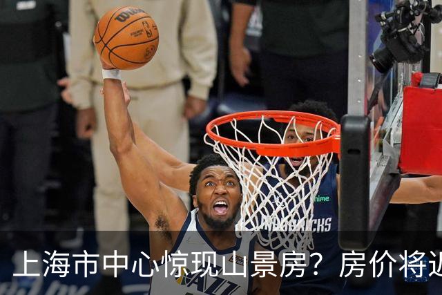 上海市中心惊现山景房？房价将近10万一平米，已成网红打卡点