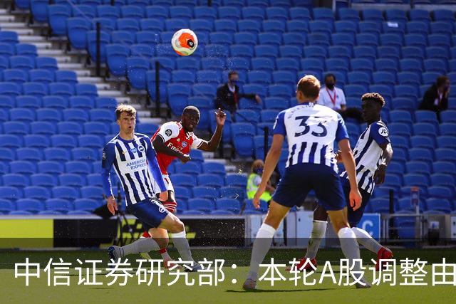 中信证券研究部：本轮A股调整由机构重仓股诱发 机构重仓组合跌13.6%