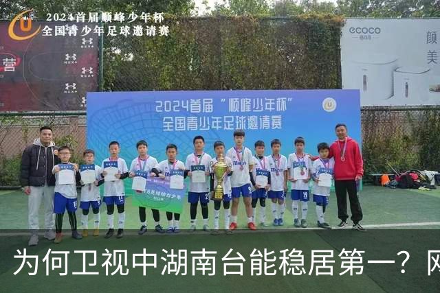 为何卫视中湖南台能稳居第一？网友一句话点醒梦中人