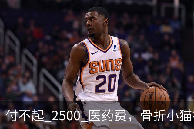 付不起 2500 医药费，骨折小猫被丢在地铁站口，3小时后一瘸一拐自己回到医院，猫：我还想活！