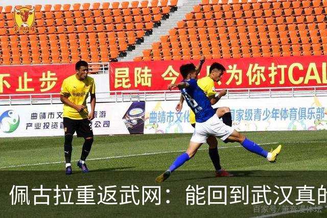 佩古拉重返武网：能回到武汉真的特别激动