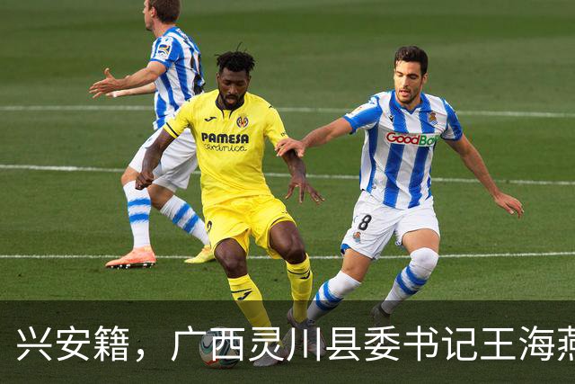 兴安籍，广西灵川县委书记王海燕简介