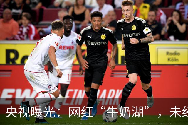 央视曝光：网红“牛奶湖”，未经审批被圈地收费；观点：这是典型的“先上车、后补票”式粗放型发展思维作祟，暴露基层项目审批监管漏洞