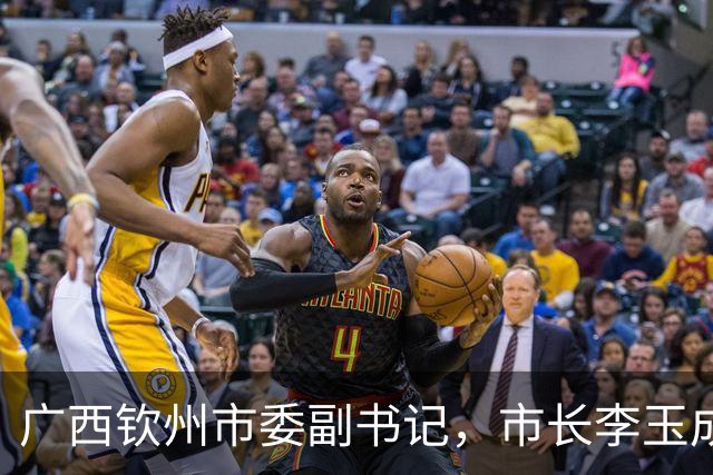 广西钦州市委副书记，市长李玉成简历