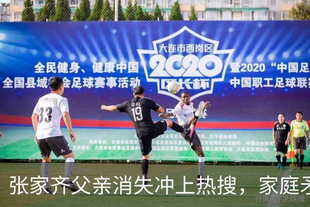 张家齐父亲消失冲上热搜，家庭矛盾从来不是一个人的事