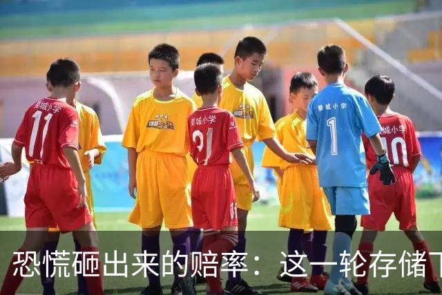 恐慌砸出来的赔率：这一轮存储下跌，还是底吗？