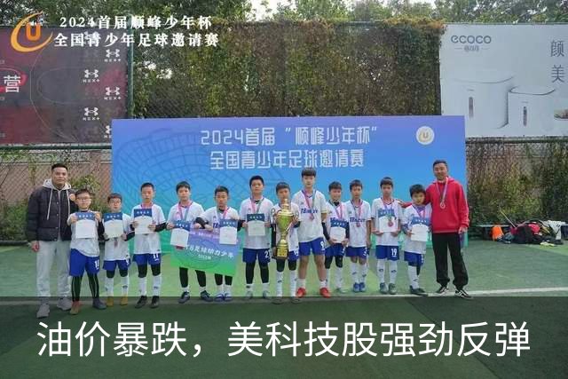 油价暴跌，美科技股强劲反弹