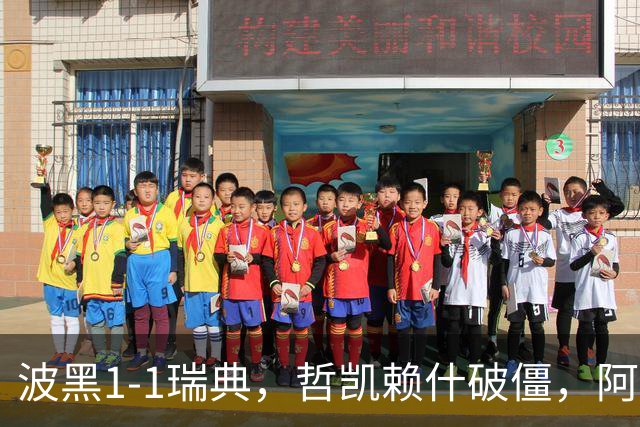 波黑1-1瑞典，哲凯赖什破僵，阿拉伊贝戈维奇救主