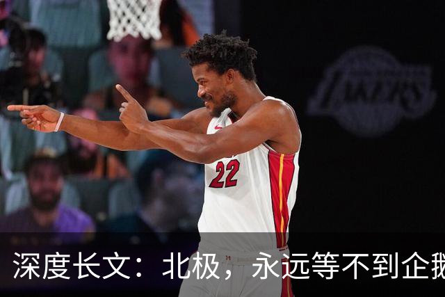 深度长文：北极，永远等不到企鹅！1949年人类最后一次在北极地区看见企鹅！