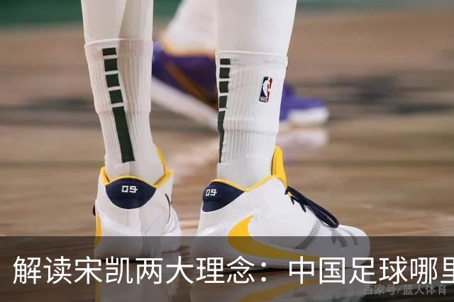 解读宋凯两大理念：中国足球哪里需稳定 哪里要开放