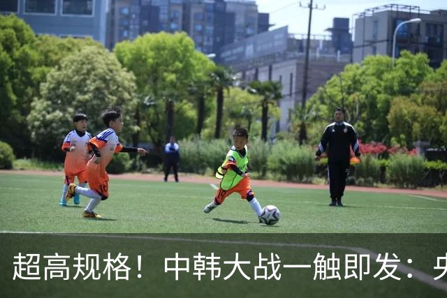 超高规格！中韩大战一触即发：央视5套转播，首次启用VAR裁判