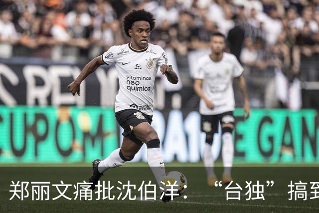 郑丽文痛批沈伯洋：“台独”搞到穷途末路，换成毒品的“毒”