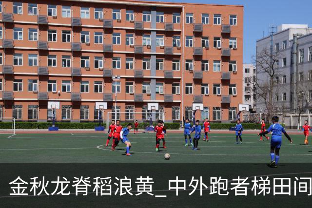 金秋龙脊稻浪黄 中外跑者梯田间同竞技