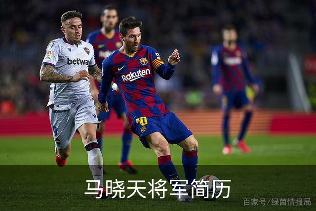 马晓天将军简历