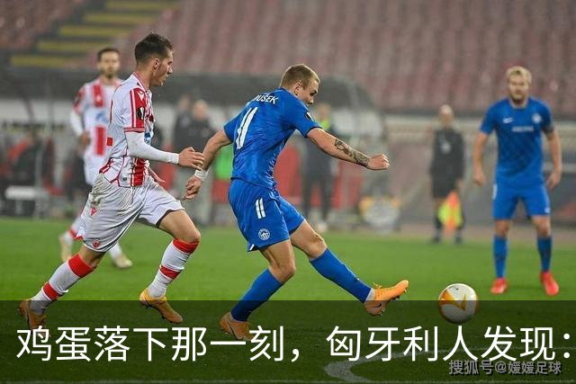 鸡蛋落下那一刻，匈牙利人发现：换掉欧尔班，换了个人挨砸