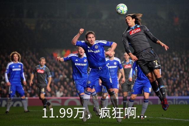 11.99万，疯狂啊...