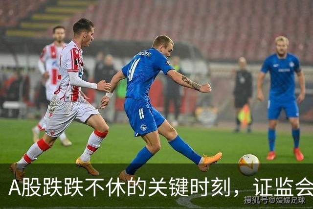A股跌跌不休的关键时刻，证监会现重磅动作，召开资本市场和金融形势专家座谈会，吴清表态！更好回报广大投资者
