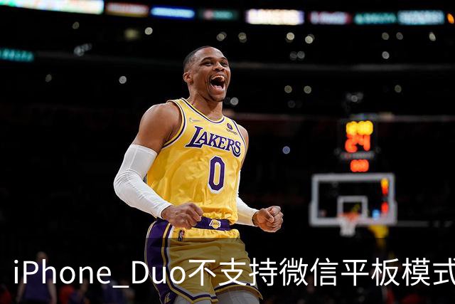 iPhone Duo不支持微信平板模式？客服回应